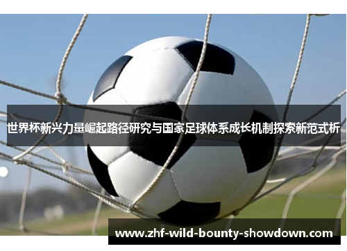 世界杯新兴力量崛起路径研究与国家足球体系成长机制探索新范式析