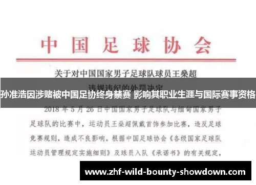 孙准浩因涉赌被中国足协终身禁赛 影响其职业生涯与国际赛事资格 孙准浩因涉赌被中国足协终身禁赛 影响其职业生涯与国际赛事资格