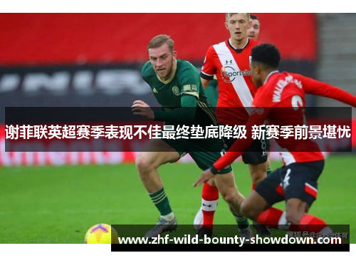 谢菲联英超赛季表现不佳最终垫底降级 新赛季前景堪忧
