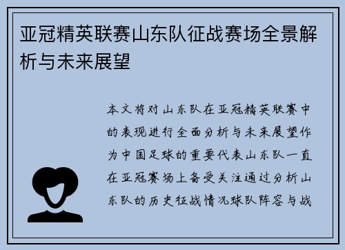 亚冠精英联赛山东队征战赛场全景解析与未来展望